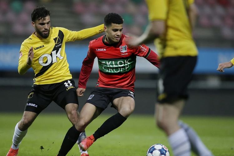 哈利伯顿延 哈利伯顿延