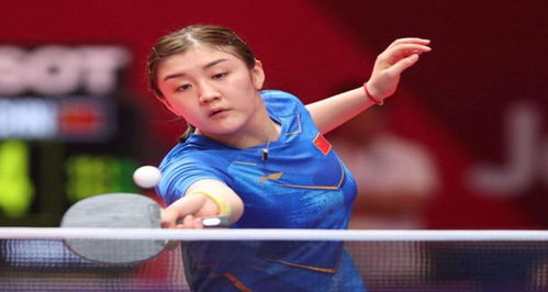 术展示了女 术展示了女