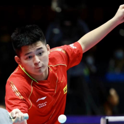 羽毛球运动 羽毛球运动