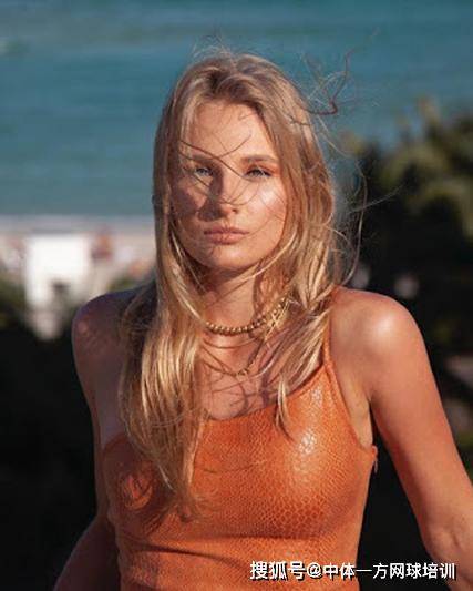 的转会回笼 的转会回笼