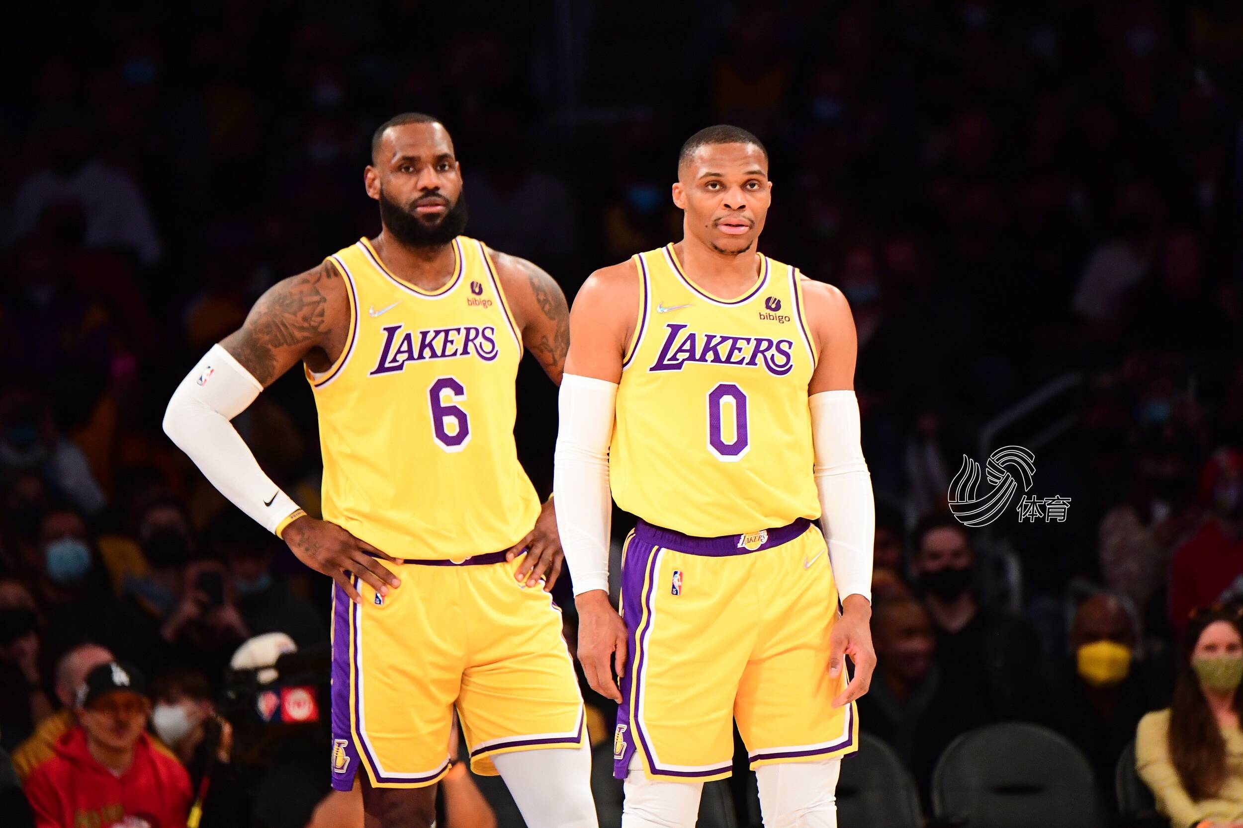 直接决定可 直接决定可