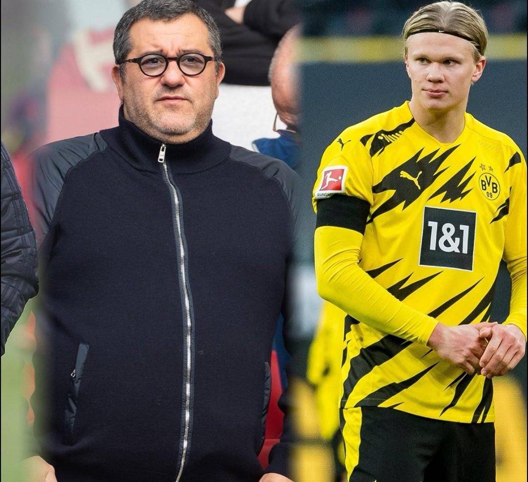 增长转化 增长转化